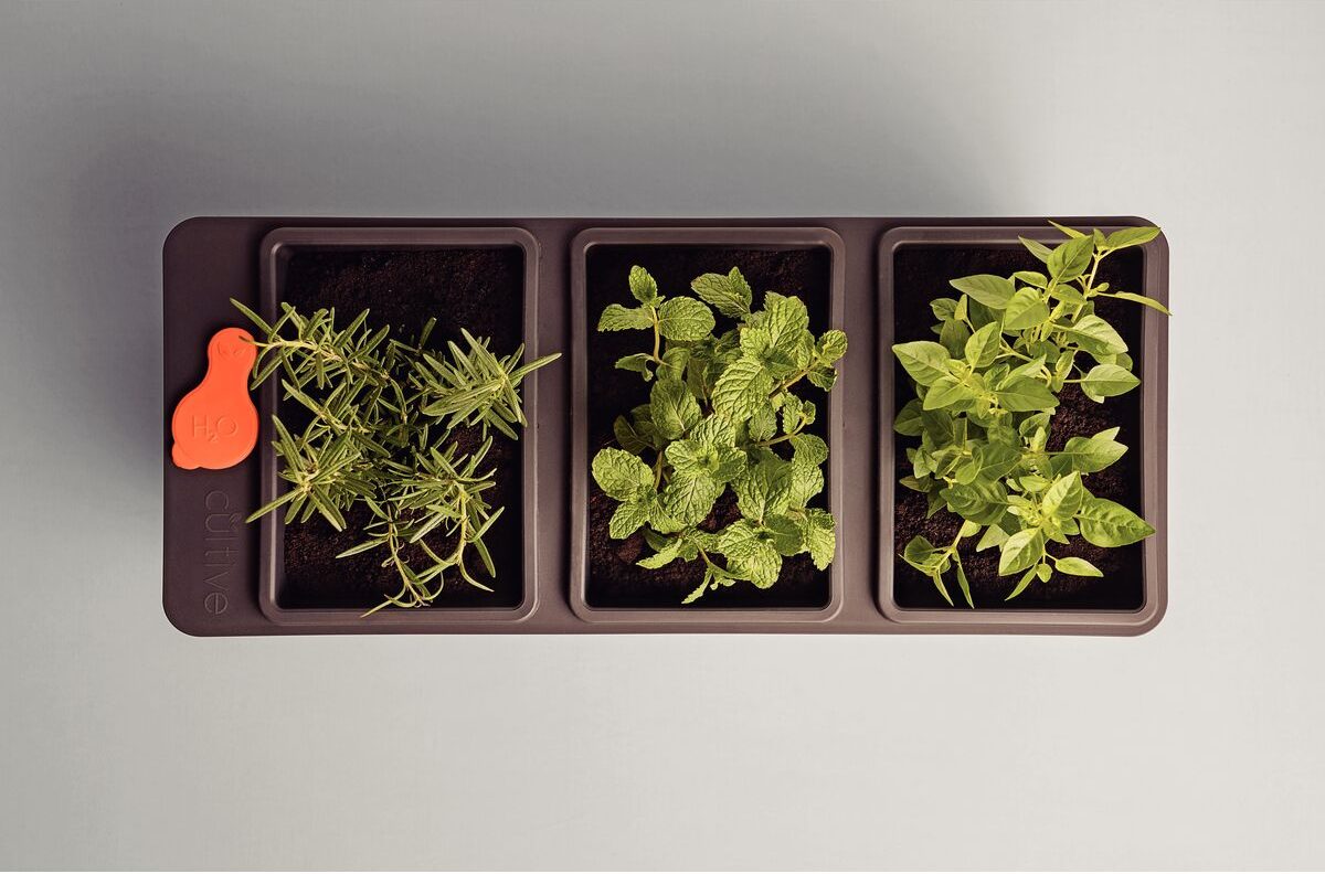 Chậu tự tưới Tramontina 3 ngăn (2)