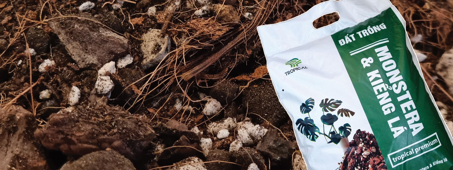 Monstera soil banner