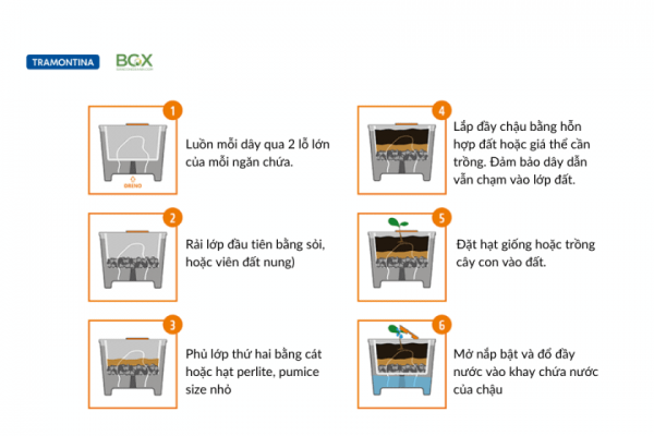 Chậu tự tưới tramontina mini 3 Cách sử dụng chậu tự tưới Tramontina mini