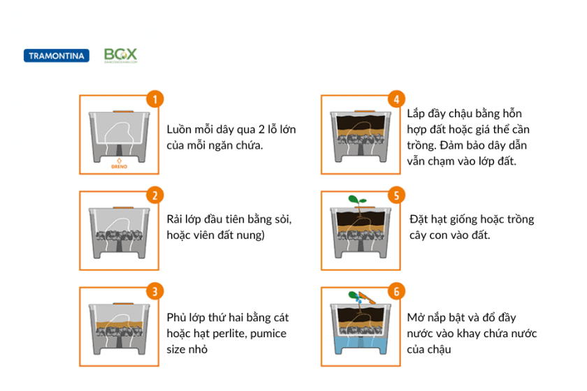 Sử dụng chậu tự tưới thông minh để trồng rau thủy canh tại nhà 4 Cách sử dụng chậu tự tưới Tramontina mini