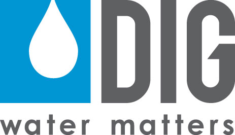 DIG logo