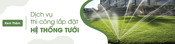 Dich-vu-thi-cong-lap-dat-he-thong-tuoi