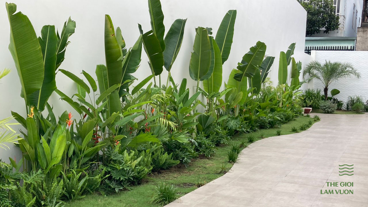 Dich-vu-thiet-ke-thi-cong-canh-quan-san-vuon