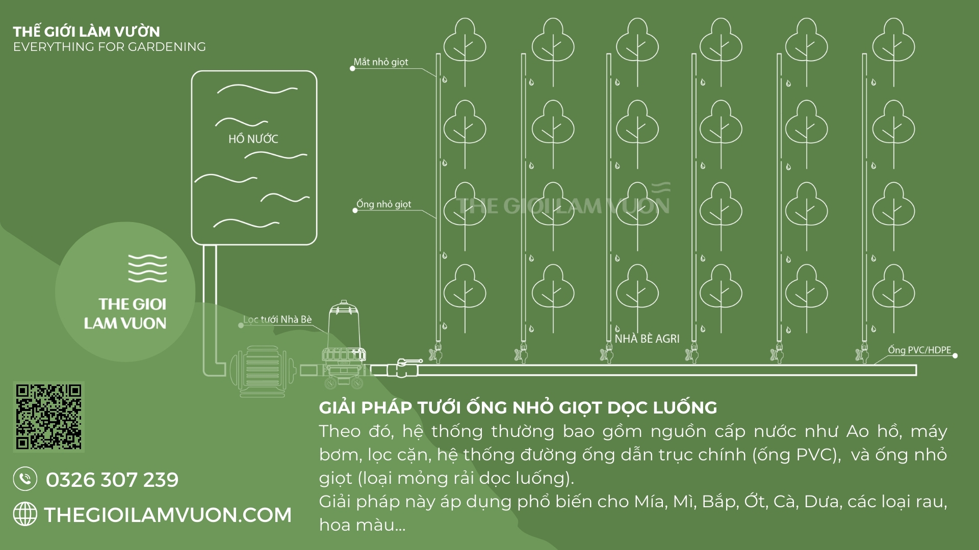 Ống tưới nhỏ giọt olympia violet 1 Giai phap tuoi ong doc luong TGLV