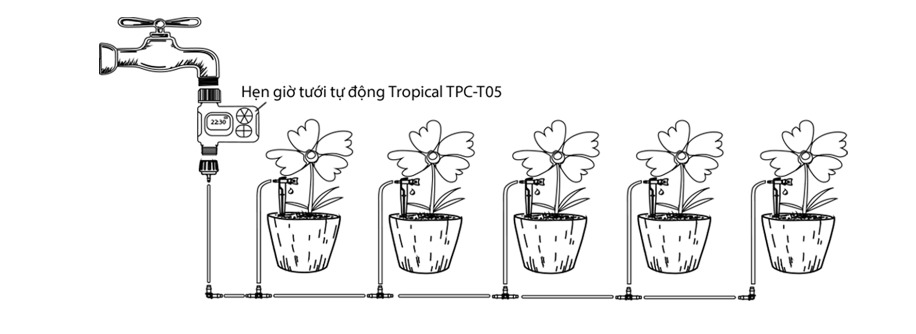 Lắp đặt thông qua hẹn giờ tưới Tropical