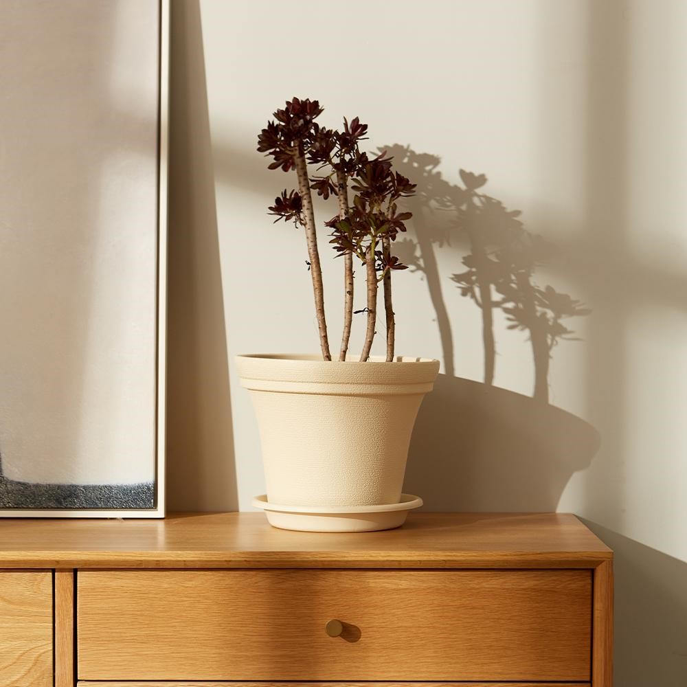 Các Loại Chậu Nhựa Trồng Cây Cao Cấp Được Ưa Chuộng