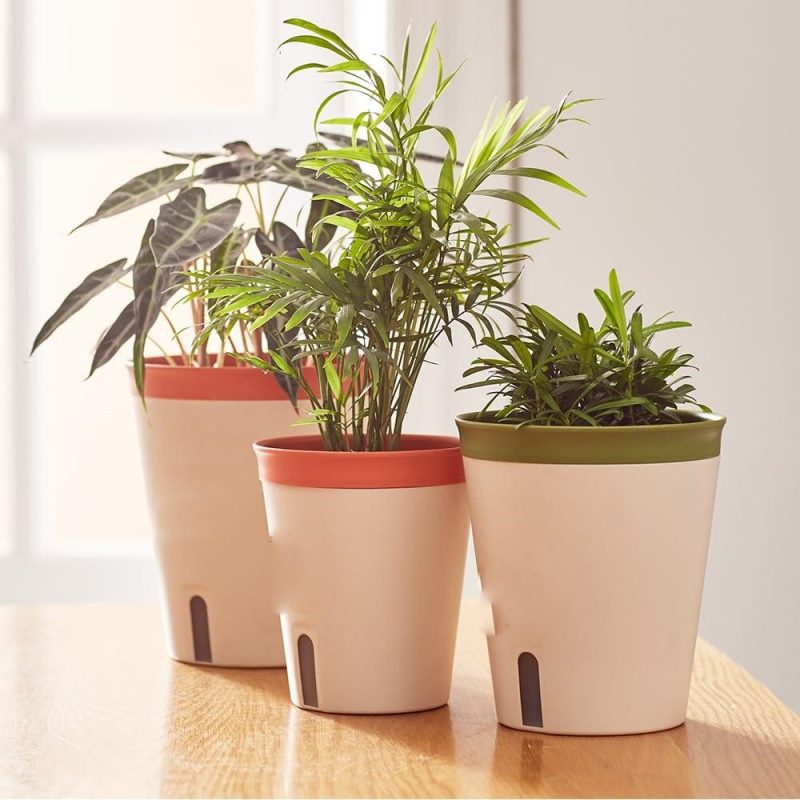 Các loại chậu nhựa trồng cây cao cấp được ưa chuộng 10 Các Loại Chậu Nhựa Trồng Cây Cao Cấp Được Ưa Chuộng