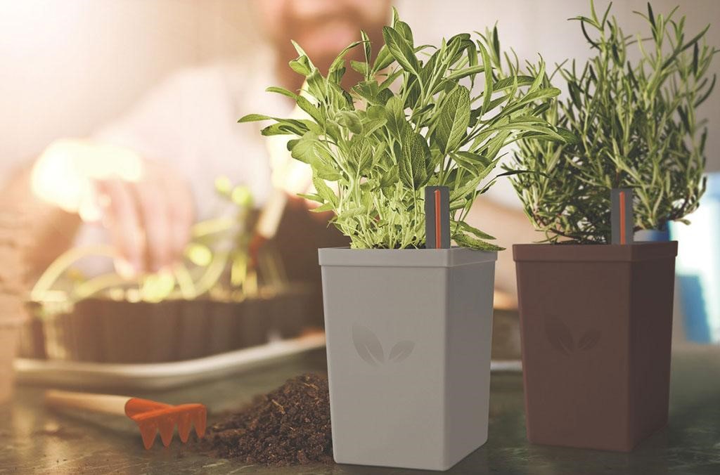 Các loại chậu nhựa trồng cây cao cấp được ưa chuộng 11 Các Loại Chậu Nhựa Trồng Cây Cao Cấp Được Ưa Chuộng