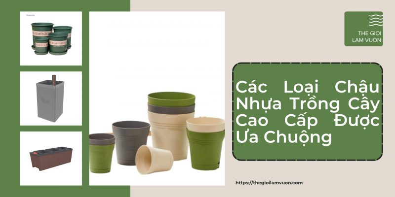 Các loại chậu nhựa trồng cây cao cấp được ưa chuộng 34 Các Loại Chậu Nhựa Trồng Cây Cao Cấp Được Ưa Chuộng