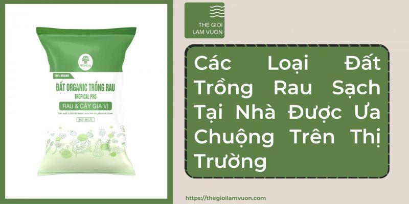 Các loại đất trồng rau sạch tại nhà được ưa chuộng trên thị trường 52 TOP 3 Các Loại Đất Trồng Rau Sạch Tại Nhà Được Ưa Chuộng Trên Thị Trường