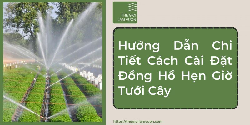 Hướng dẫn chi tiết cách cài đặt đồng hồ hẹn giờ tưới cây 52 Hướng Dẫn Chi Tiết Cách Cài Đặt Đồng Hồ Hẹn Giờ Tưới Cây