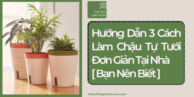 Hướng dẫn 3 cách làm chậu tự tưới đơn giản tại nhà 63 Hướng Dẫn 3 Cách Làm Chậu Tự Tưới Đơn Giản Tại Nhà