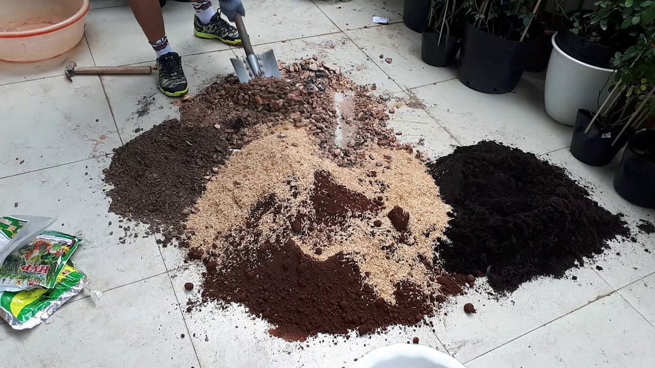 Hướng Dẫn Chi Tiết Cách Làm Đất Trồng Hoa Hồng Đầy Đủ Chất Dinh Dưỡng