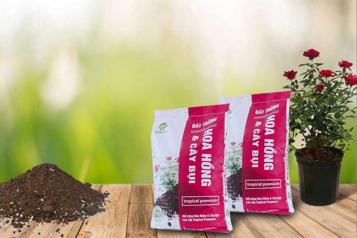 Hướng Dẫn Chi Tiết Cách Làm Đất Trồng Hoa Hồng Đầy Đủ Chất Dinh Dưỡng