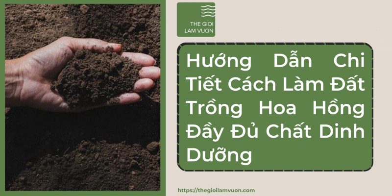 Hướng dẫn chi tiết cách làm đất trồng hoa hồng đầy đủ chất dinh dưỡng 50 Hướng Dẫn Chi Tiết Cách Làm Đất Trồng Hoa Hồng Đầy Đủ Chất Dinh Dưỡng