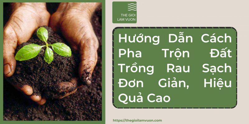 Hướng dẫn cách pha trộn đất trồng rau sạch đơn giản, hiệu quả cao 68 Hướng Dẫn Cách Pha Trộn Đất Trồng Rau Sạch Đơn Giản, Hiệu Quả Cao
