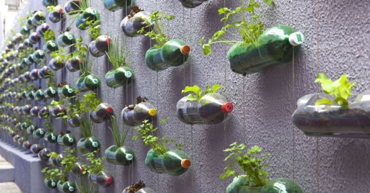 Cách Tái Chế Chai Nhựa Thành Chậu Trồng Rau Dễ Làm Và Đẹp Mắt