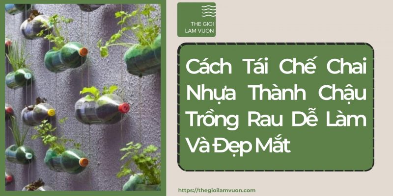Cách tái chế chai nhựa thành chậu trồng rau dễ làm và đẹp mắt 30 Cách Tái Chế Chai Nhựa Thành Chậu Trồng Rau Dễ Làm Và Đẹp Mắt