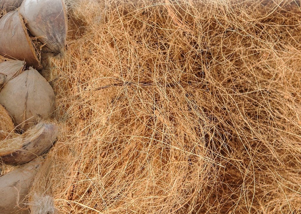 Hướng dẫn cách trộn đất trồng hoa hồng hiệu quả và đủ dinh dưỡng 8 Hướng Dẫn Cách Trộn Đất Trồng Hoa Hồng Hiệu Quả Và Đủ Dinh Dưỡng