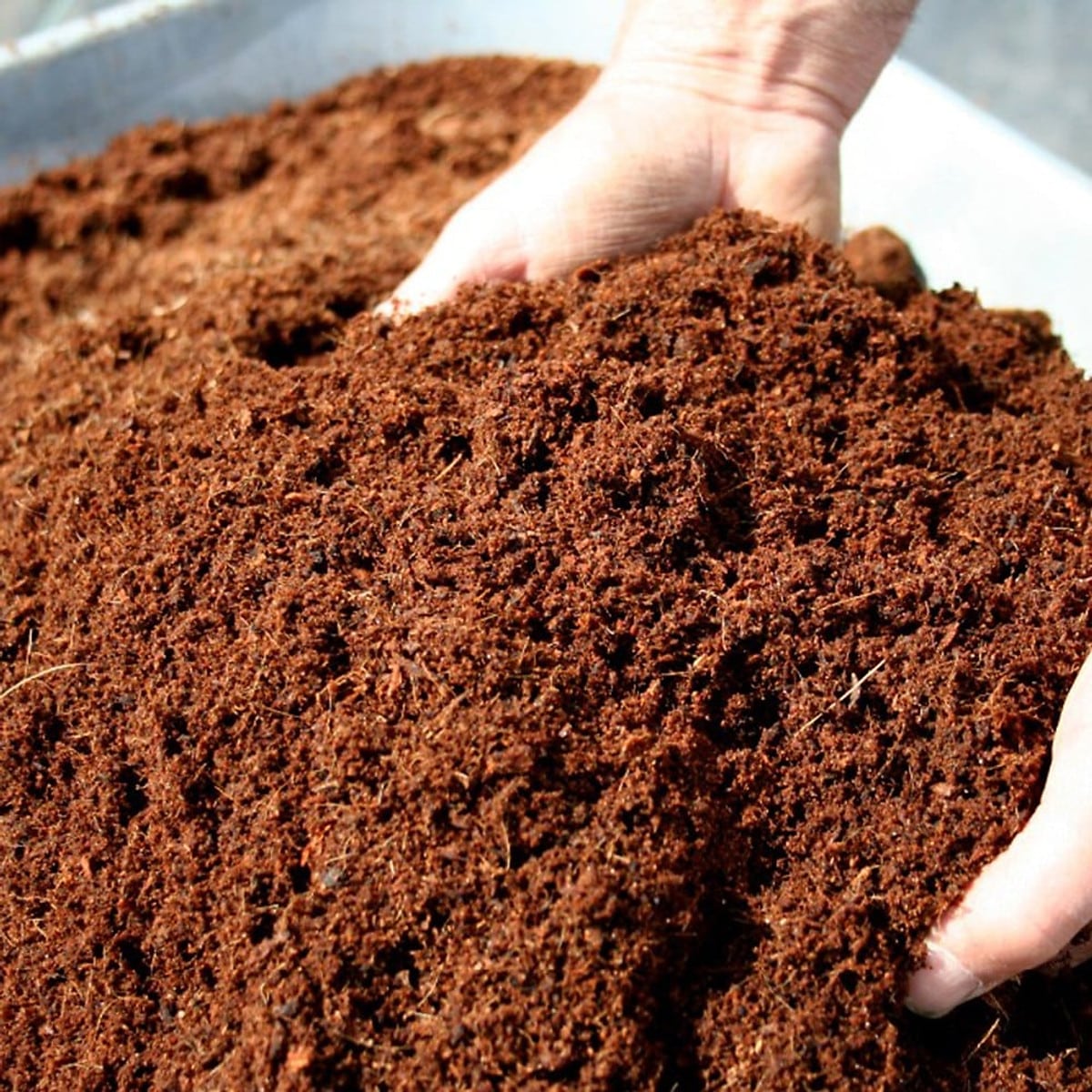 Cách trồng rau sạch trên đất trong thùng xốp đơn giản nhanh chóng 5 Cách Trồng Rau Sạch Trên Đất Trong Thùng Xốp Đơn Giản Nhanh Chóng