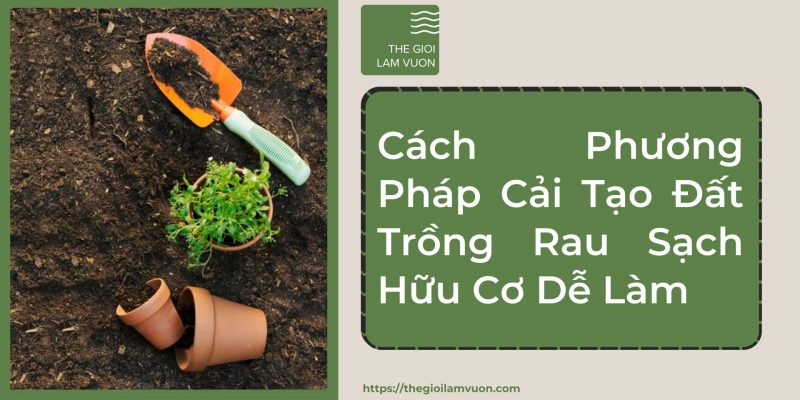 Cách phương pháp cải tạo đất trồng rau sạch hữu cơ dễ làm 47 Cách Phương Pháp Cải Tạo Đất Trồng Rau Sạch Hữu Cơ Dễ Làm