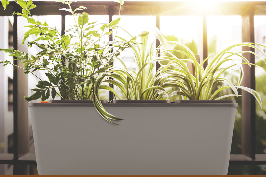 Cấu Tạo Chậu Tự Tưới Và Nguyên Lý Hoạt Động Của Chậu Như Thế Nào?