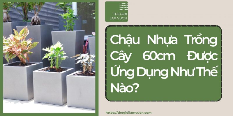 Chậu nhựa trồng cây 60cm được ứng dụng như thế nào? 25 Chậu Nhựa Trồng Cây 60cm Được Ứng Dụng Như Thế Nào?