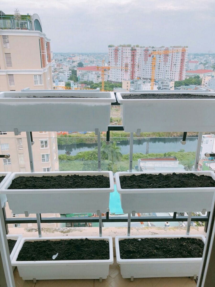 Chậu nhựa trồng cây 60cm được ứng dụng như thế nào? 5 Chậu Nhựa Trồng Cây 60cm Được Ứng Dụng Như Thế Nào?