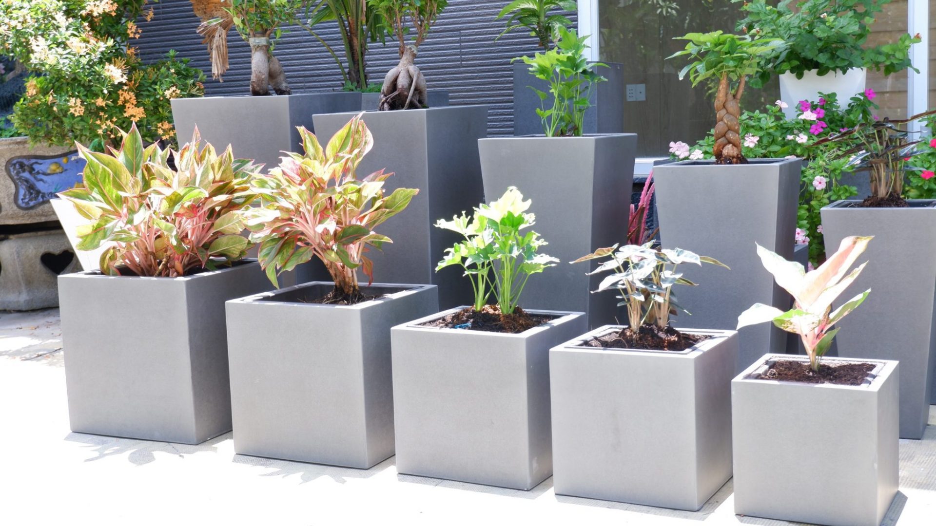 Chậu Nhựa Trồng Cây 60cm Được Ứng Dụng Như Thế Nào?