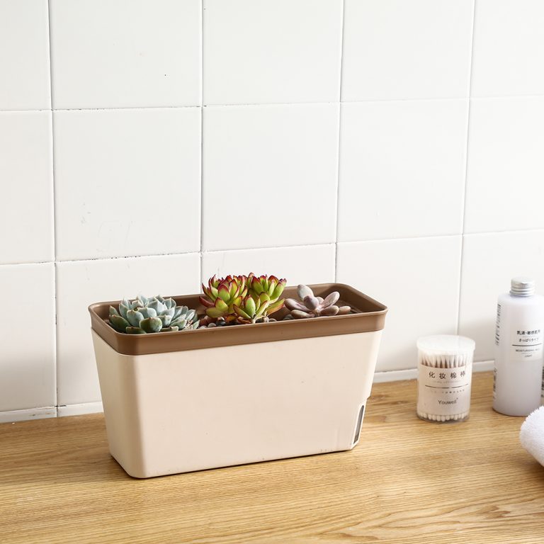 Cách lựa chọn chậu nhựa trồng cây hình chữ nhật chuẩn nhất 7 Cách Lựa Chọn Chậu Nhựa Trồng Cây Hình Chữ Nhật Chuẩn Nhất