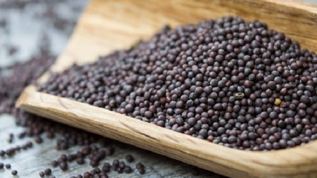 Nên Chọn Chậu Trồng Rau Trên Sân Thượng Như Thế Nào?