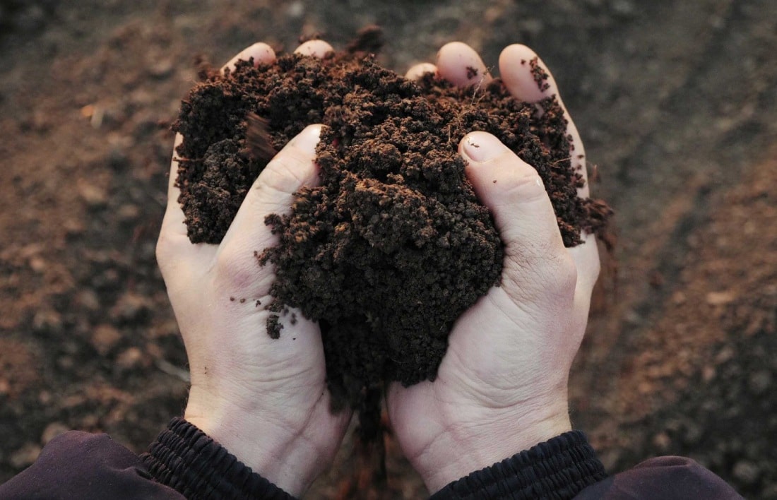 Nên lựa chọn đất trồng rau sạch nào để mang lại hiệu quả tốt cho rau? 10 Nên Lựa Chọn Đất Trồng Rau Sạch Nào Để Mang Lại Hiệu Quả Tốt Cho Rau?