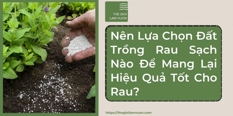 Nên lựa chọn đất trồng rau sạch nào để mang lại hiệu quả tốt cho rau? 62 Nên Lựa Chọn Đất Trồng Rau Sạch Nào Để Mang Lại Hiệu Quả Tốt Cho Rau?