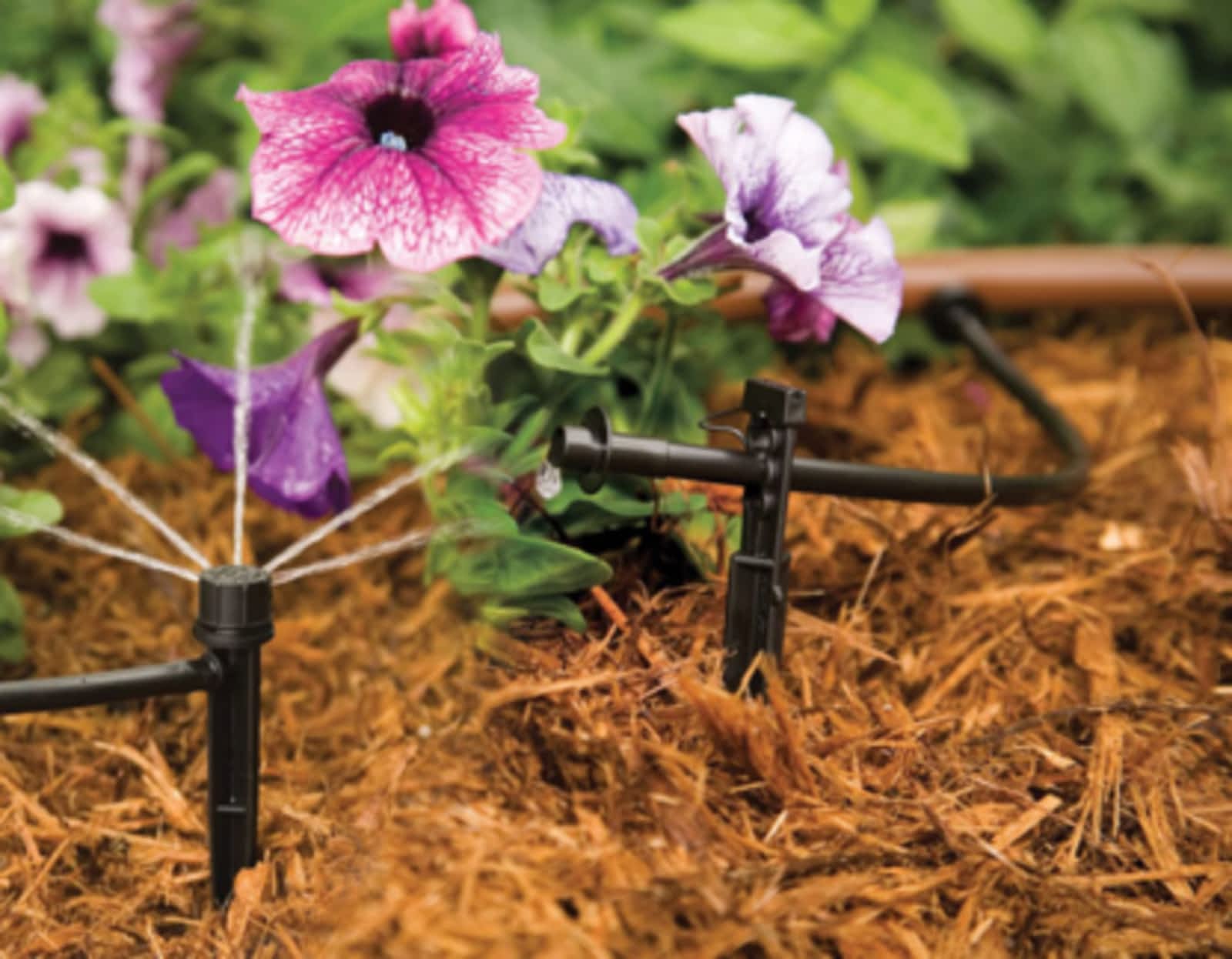 Hệ Thống Tưới Cây Hẹn Giờ Là Gì? Ưu Điểm Của Hệ Thống Tưới Cây Hẹn Giờ