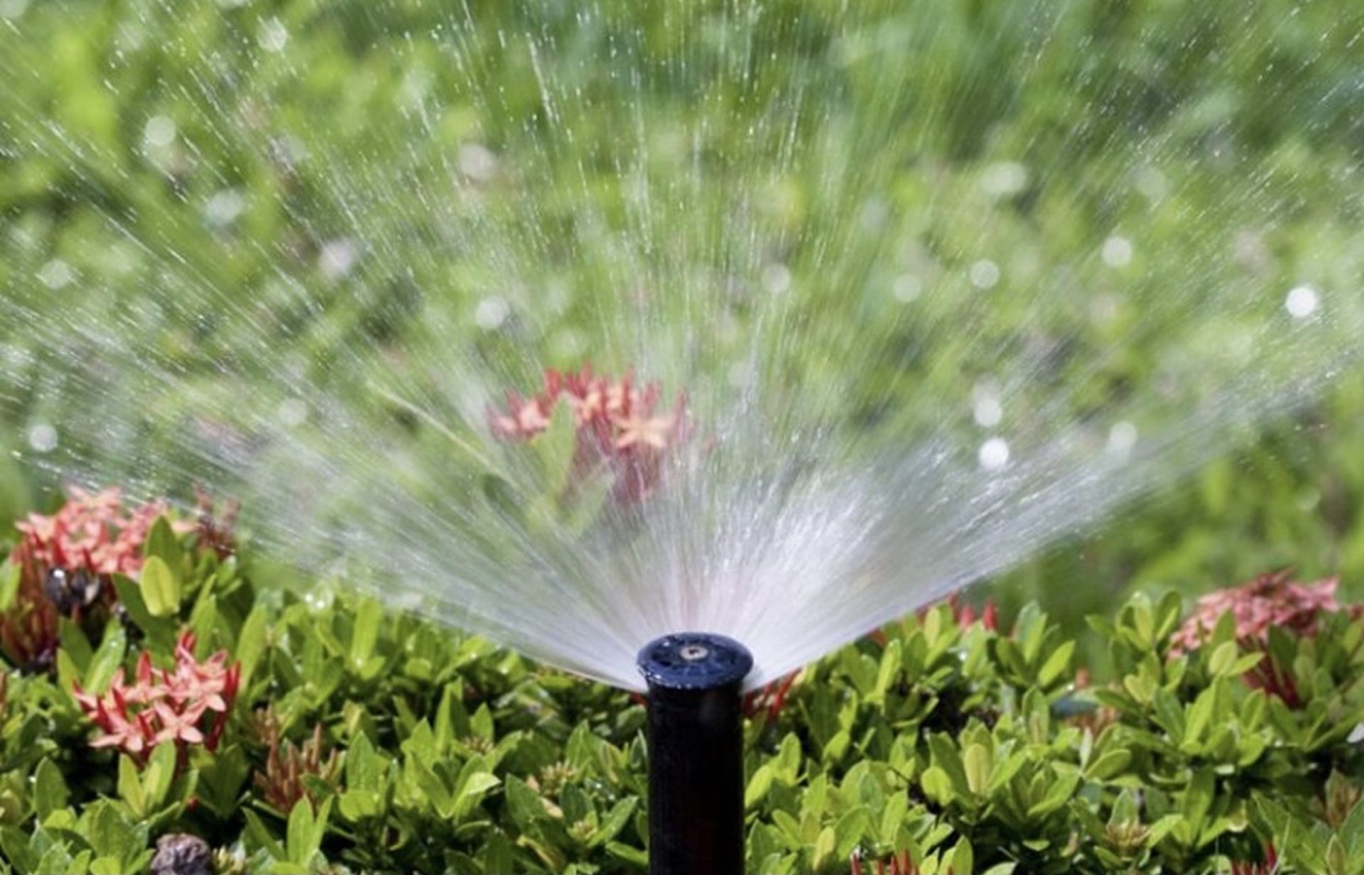 Hệ Thống Tưới Cây Hẹn Giờ Là Gì? Ưu Điểm Của Hệ Thống Tưới Cây Hẹn Giờ