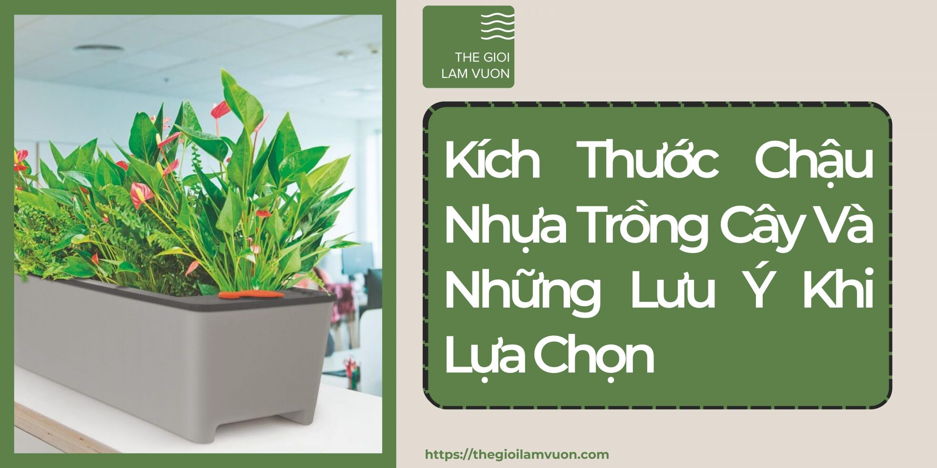 Kích Thước Chậu Nhựa Trồng Cây Và Những Lưu Ý Khi Lựa Chọn