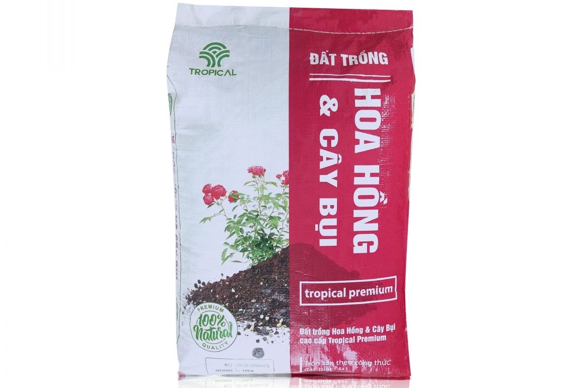 Trồng hoa hồng có cần nhiều đất không? Cách trồng hoa hồng hiệu quả 8 Trồng Hoa Hồng Có Cần Nhiều Đất Không? Cách Trồng Hoa Hồng Hiệu Quả