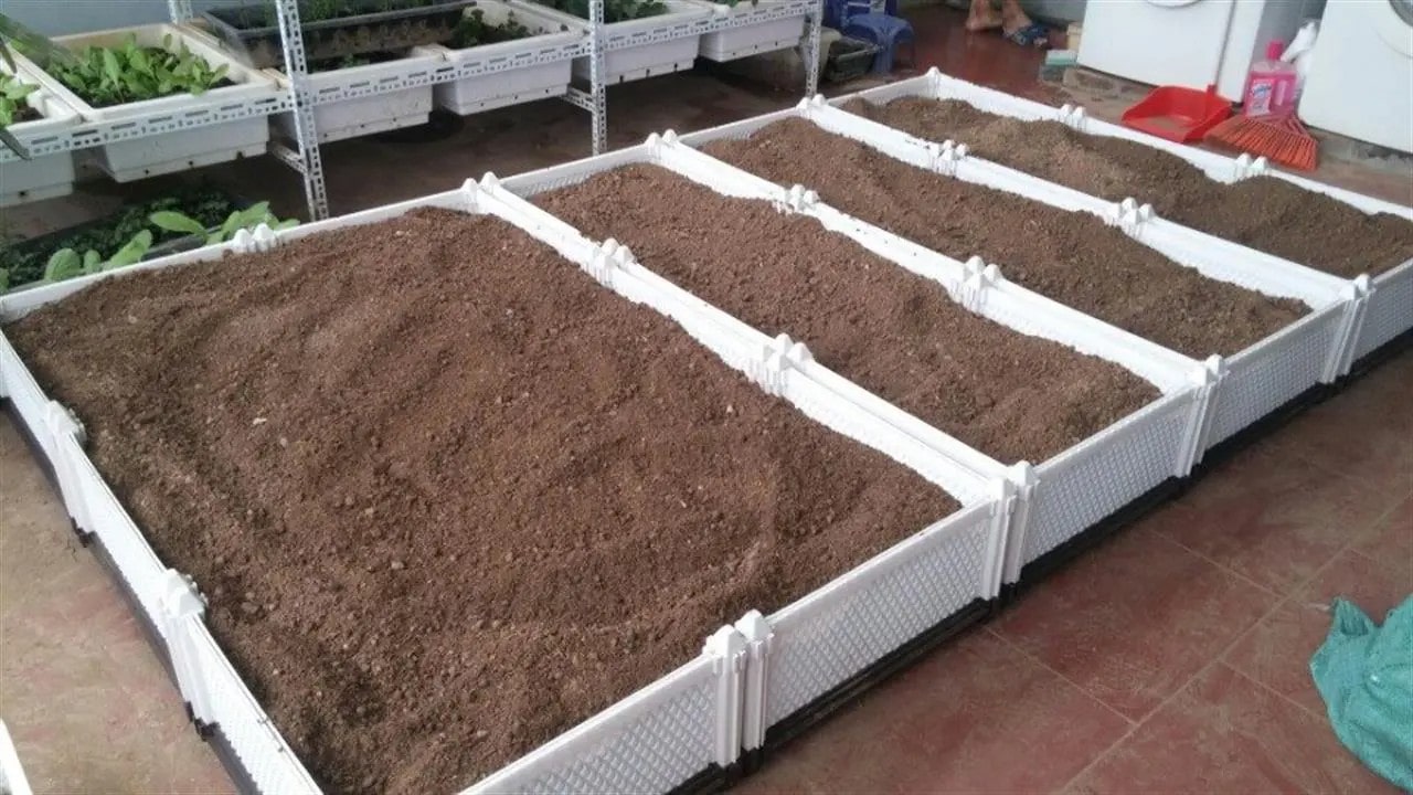 Tại sao cần xử lý đất trồng rau sạch? Hướng dẫn xử lý đất trồng rau 6 Tại Sao Cần Xử Lý Đất Trồng Rau Sạch? Hướng Dẫn Xử Lý Đất Trồng Rau