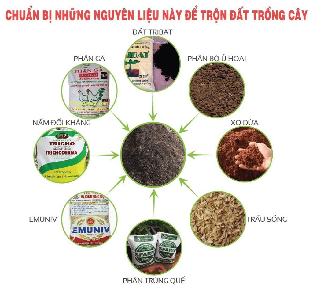 Cách Làm Đất Trồng Cây Mang Đến Hiệu Quả Cũng Như Đầy Đủ Chất Dinh Dưỡng Cho Cây