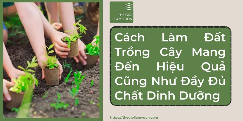 Cách làm đất trồng cây mang đến hiệu quả cũng như đầy đủ chất dinh dưỡng cho cây 42 Cách Làm Đất Trồng Cây Mang Đến Hiệu Quả Cũng Như Đầy Đủ Chất Dinh Dưỡng Cho Cây