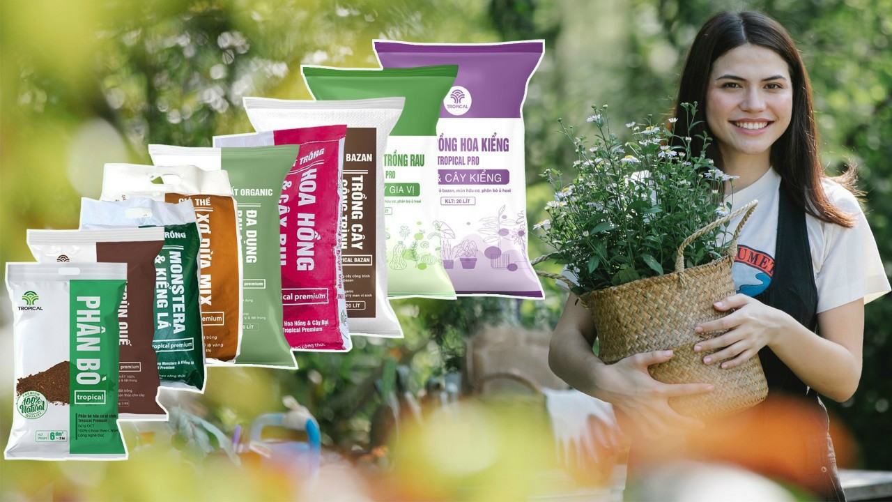 Hướng Dẫn Cách Làm Đất Trồng Rau Tại Nhà