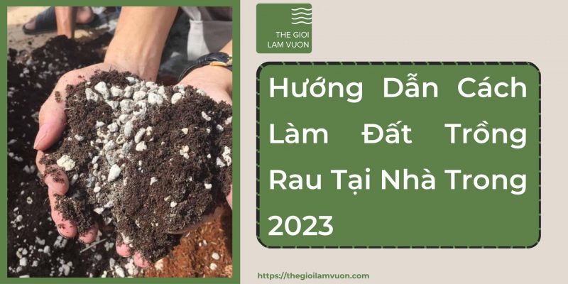 Hướng dẫn cách làm đất trồng rau tại nhà 30 Hướng Dẫn Cách Làm Đất Trồng Rau Tại Nhà