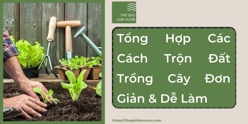 Tổng hợp các cách trộn đất trồng cây đơn giản, dễ thực hiện 35 Tổng Hợp Các Cách Trộn Đất Trồng Cây Đơn Giản, Dễ Thực Hiện