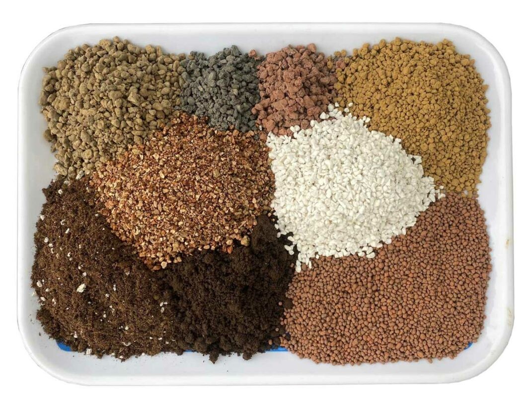 Hướng Dẫn Cách Trộn Đất Trồng Sen Đá Tơi Xốp, Không Úng Nước