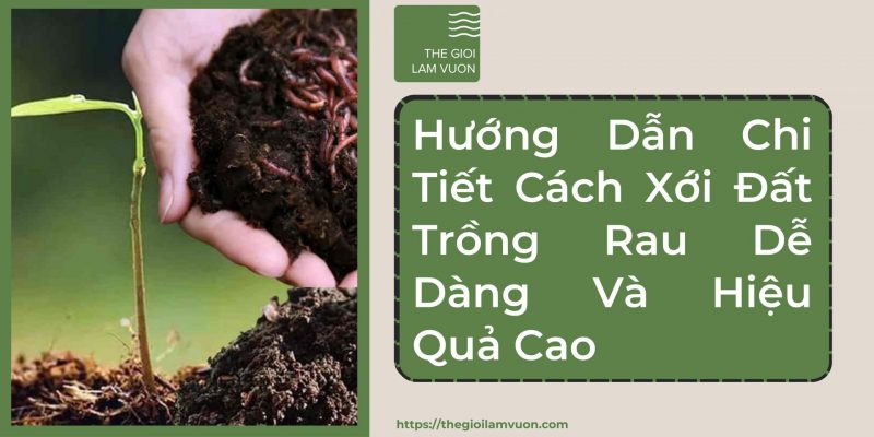 Hướng dẫn chi tiết cách xới đất trồng rau dễ dàng và hiệu quả cao 52 Hướng Dẫn Chi Tiết Cách Xới Đất Trồng Rau Dễ Dàng Và Hiệu Quả Cao