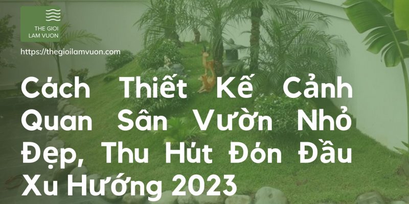 Cách thiết kế cảnh quan sân vườn nhỏ đẹp, thu hút đón đầu xu hướng 2023 56 Cách Thiết Kế Cảnh Quan Sân Vườn Nhỏ Đẹp, Thu Hút Đón Đầu Xu Hướng 2023