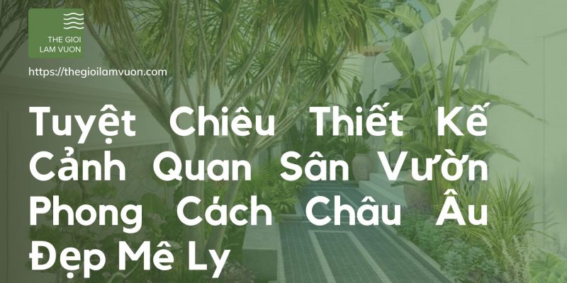 Tuyệt chiêu thiết kế cảnh quan sân vườn phong cách châu âu đẹp mê ly 28 Tuyệt Chiêu Thiết Kế Cảnh Quan Sân Vườn Phong Cách Châu Âu Đẹp Mê Ly