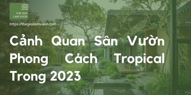Cảnh quan sân vườn phong cách tropical 36 Cảnh Quan Sân Vườn Phong Cách Tropical Trong 2023