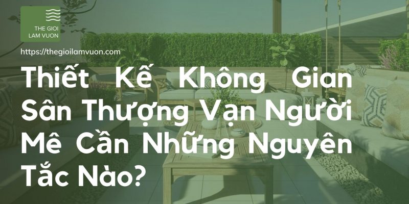 Thiết kế không gian sân thượng vạn người mê cần những nguyên tắc nào? 56 Thiết Kế Không Gian Sân Thượng Vạn Người Mê Cần Những Nguyên Tắc Nào?