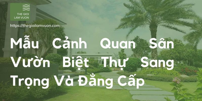 Mẫu cảnh quan sân vườn biệt thự sang trọng và đẳng cấp 39 Mẫu Cảnh Quan Sân Vườn Biệt Thự Sang Trọng Và Đẳng Cấp
